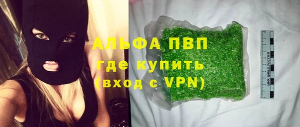 сатива Абинск