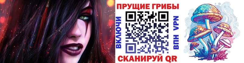 Псилоцибиновые грибы мицелий  наркошоп  Цоци-Юрт 